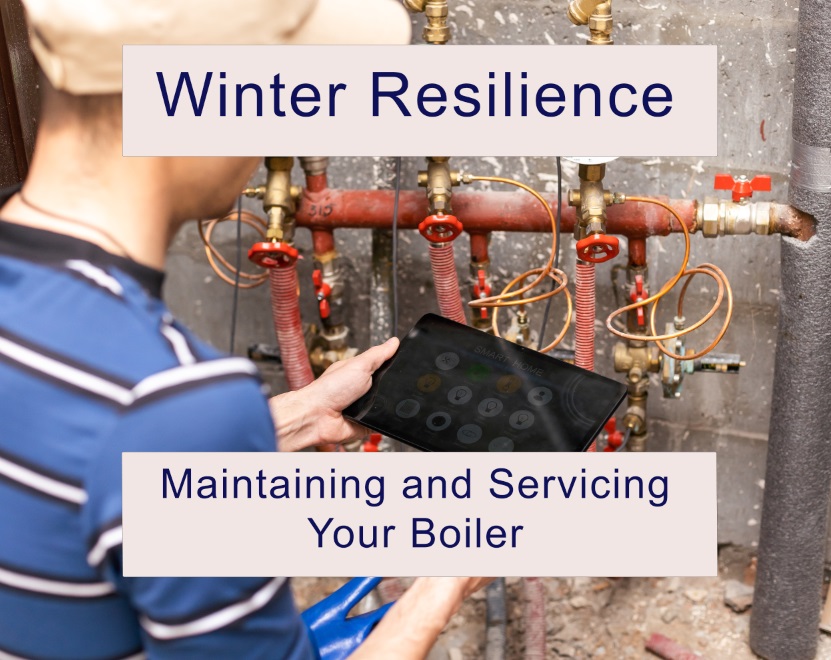 DiBacco_Plumbing_Winter_Resilience_Boiler_Maintenance